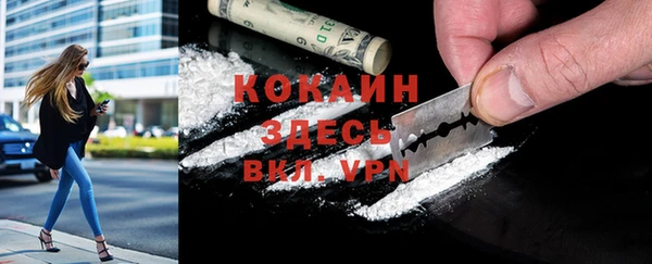 мяу мяу мука Арсеньев