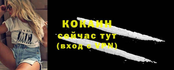 мяу мяу мука Арсеньев