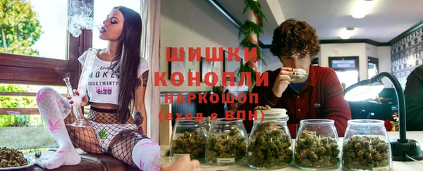 PSILOCYBIN Аркадак