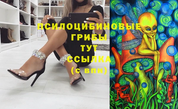 стафф Армянск
