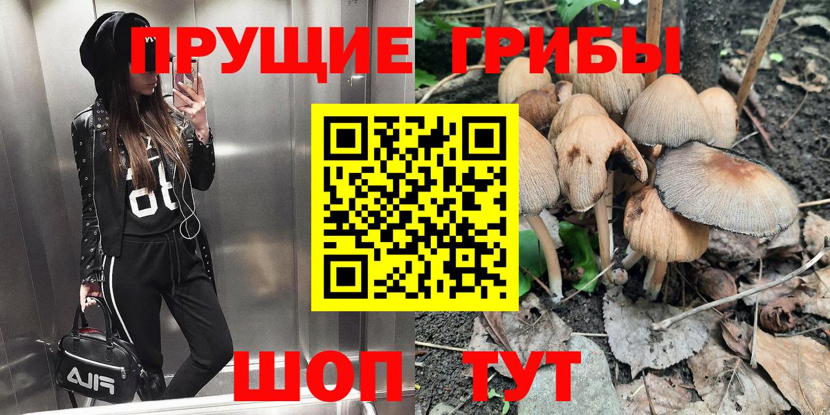 Псилоцибиновые грибы GOLDEN TEACHER Ессентуки